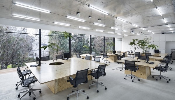 Văn phòng xanh với không gian mở