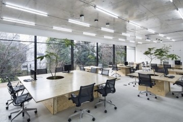 Xu hướng thiết kế văn phòng xanh, sạch, đẹp, thân thiện với môi trường