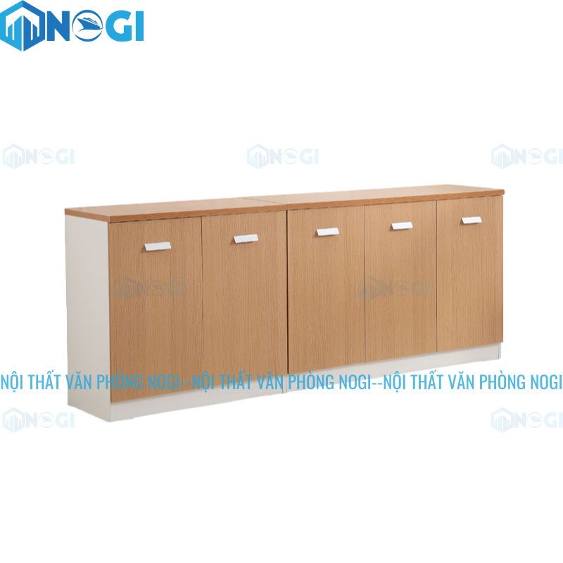 Tủ tài liệu gỗ TTL-G12