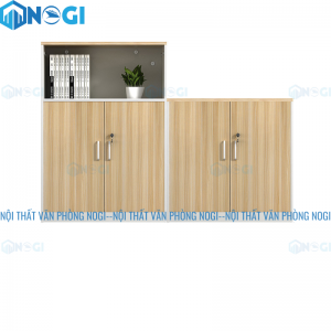 Tủ tài liệu gỗ TTL-G29